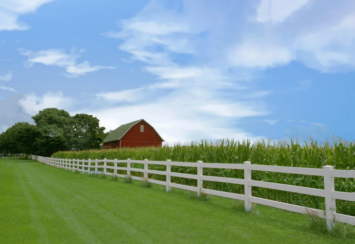A white fence beside a cornfield and red barn beneath a blue, cloud-filled sky.
