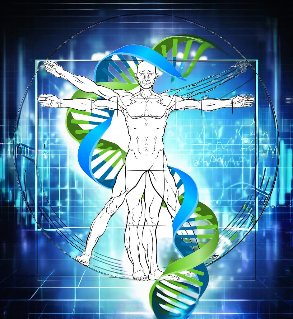 A DNA helix coil with the vitruvian man inside